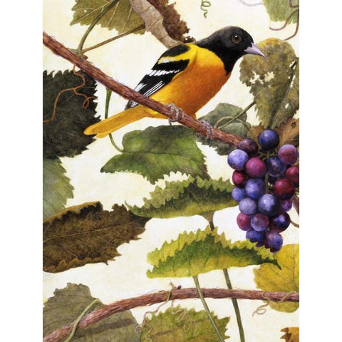 Golden Glow I Black Modern Wood Framed Art Print with Double Matting by Matcham, Marcia