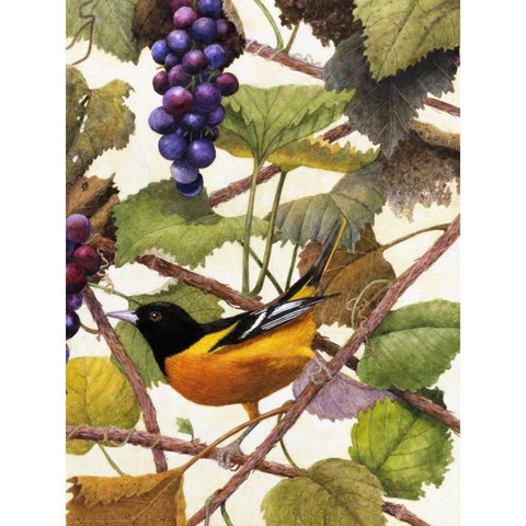 Golden Glow II Black Modern Wood Framed Art Print with Double Matting by Matcham, Marcia