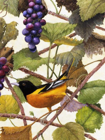 Golden Glow II White Modern Wood Framed Art Print with Double Matting by Matcham, Marcia