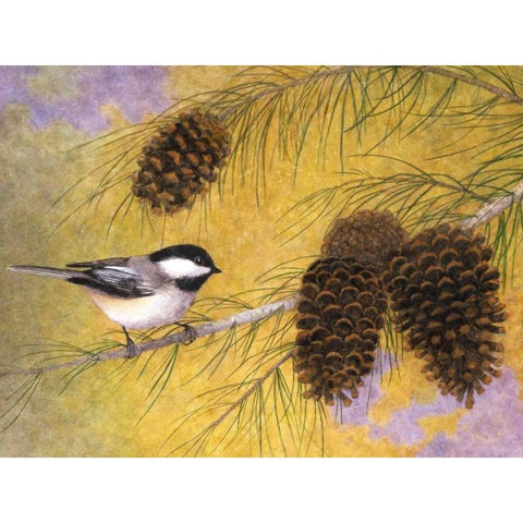 Chickadee in the Pines I White Modern Wood Framed Art Print by Matcham, Marcia