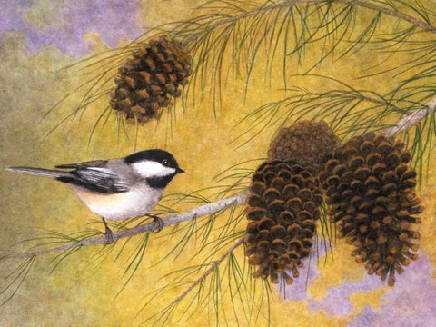 Chickadee in the Pines I Black Ornate Wood Framed Art Print with Double Matting by Matcham, Marcia