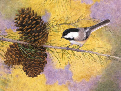 Chickadee in the Pines II White Modern Wood Framed Art Print with Double Matting by Matcham, Marcia
