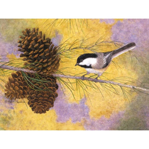 Chickadee in the Pines II White Modern Wood Framed Art Print by Matcham, Marcia