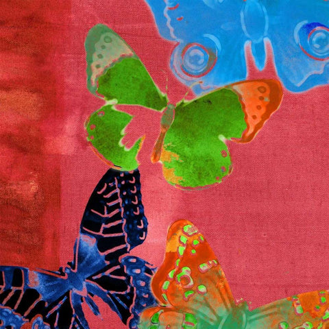 Saturated Butterflies I Black Modern Wood Framed Art Print with Double Matting by Jasper, Sisa