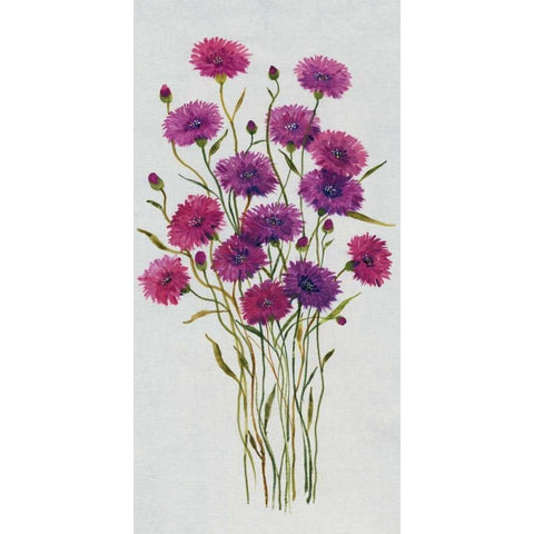 Cornflower Patch II White Modern Wood Framed Art Print by OToole, Tim