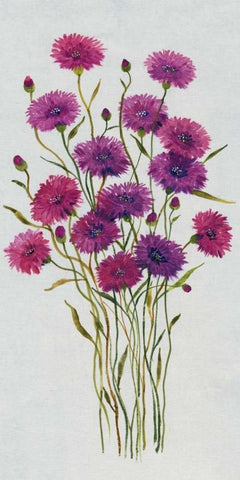 Cornflower Patch II White Modern Wood Framed Art Print with Double Matting by OToole, Tim