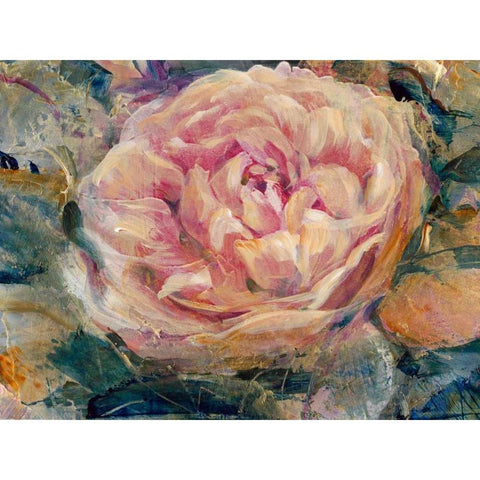 Floral in Bloom IV Gold Ornate Wood Framed Art Print with Double Matting by OToole, Tim