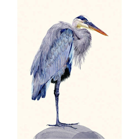 Heron Study II White Modern Wood Framed Art Print by Wang, Melissa