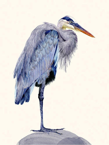 Heron Study II White Modern Wood Framed Art Print with Double Matting by Wang, Melissa