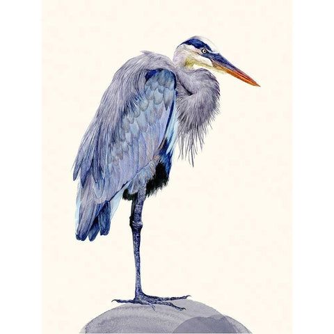 Heron Study II Gold Ornate Wood Framed Art Print with Double Matting by Wang, Melissa