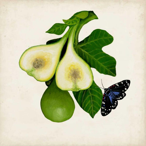 Fruit with Butterflies III Black Ornate Wood Framed Art Print with Double Matting by McCavitt, Naomi