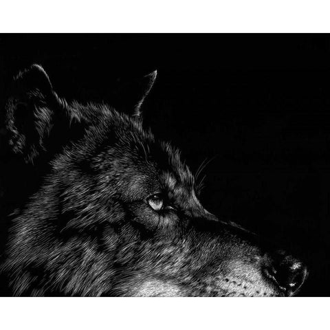 Scratchboard Wolf I White Modern Wood Framed Art Print by Chapman, Julie T.