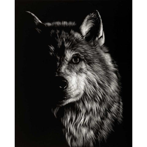 Scratchboard Wolf III Black Modern Wood Framed Art Print with Double Matting by Chapman, Julie T.