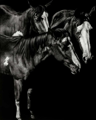 Scratchboard Blaze Buddies Black Ornate Wood Framed Art Print with Double Matting by Chapman, Julie T.