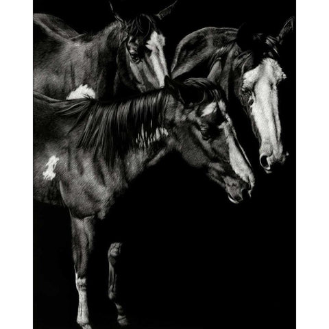 Scratchboard Blaze Buddies Black Modern Wood Framed Art Print by Chapman, Julie T.