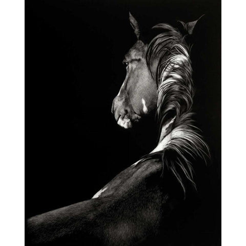 Scratchboard Sunstruck Black Modern Wood Framed Art Print with Double Matting by Chapman, Julie T.