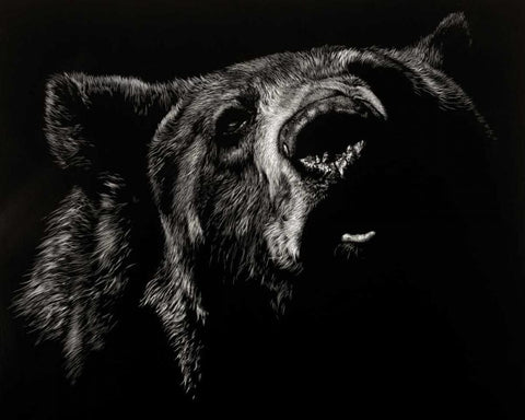 Scratchboard Critic Black Ornate Wood Framed Art Print with Double Matting by Chapman, Julie T.