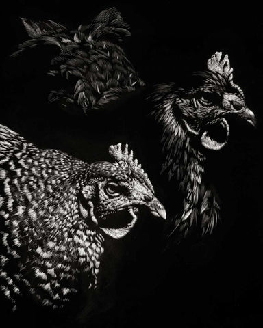 Scratchboard Skeptics Black Ornate Wood Framed Art Print with Double Matting by Chapman, Julie T.