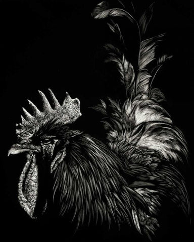 Scratchboard Tyrant Black Ornate Wood Framed Art Print with Double Matting by Chapman, Julie T.
