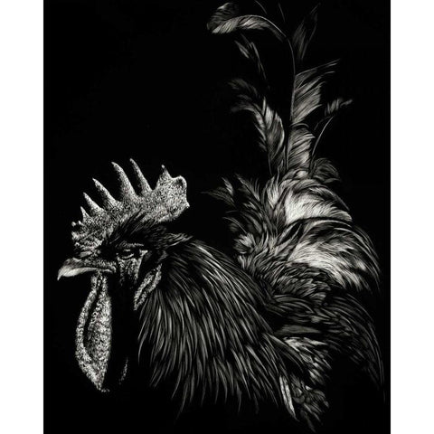 Scratchboard Tyrant Black Modern Wood Framed Art Print by Chapman, Julie T.