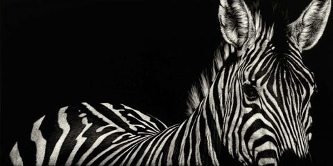 Scratchboard Incline Black Ornate Wood Framed Art Print with Double Matting by Chapman, Julie T.