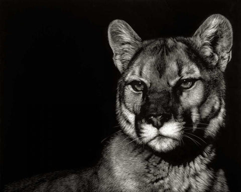 Scratchboard Nightfall White Modern Wood Framed Art Print with Double Matting by Chapman, Julie T.