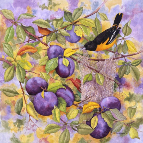 Oriole and Plums Black Ornate Wood Framed Art Print with Double Matting by Matcham, Marcia
