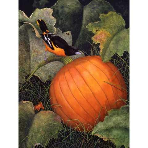 Oriole and Pumpkin White Modern Wood Framed Art Print by Matcham, Marcia