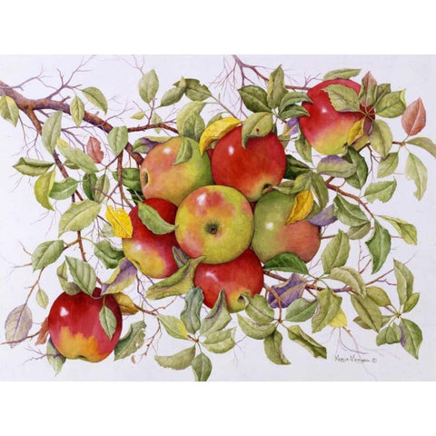 Apples Gold Ornate Wood Framed Art Print with Double Matting by Matcham, Marcia