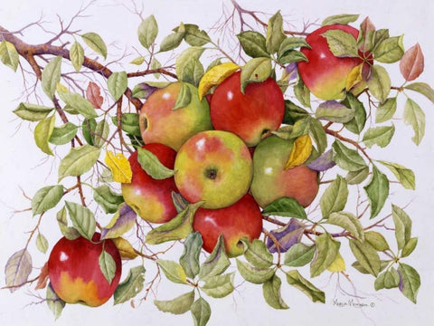 Apples White Modern Wood Framed Art Print with Double Matting by Matcham, Marcia