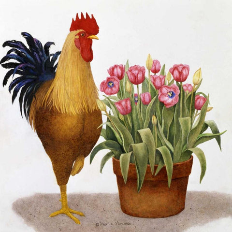 Tulip Time Black Modern Wood Framed Art Print by Matcham, Marcia