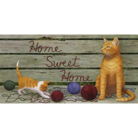 Home Sweet Home Black Modern Wood Framed Art Print with Double Matting by Matcham, Marcia