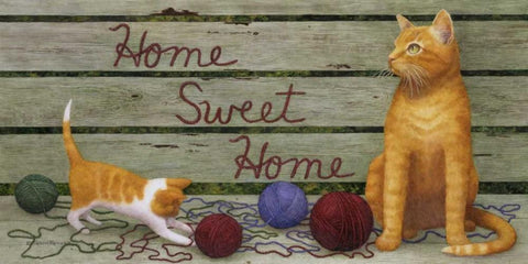 Home Sweet Home White Modern Wood Framed Art Print with Double Matting by Matcham, Marcia