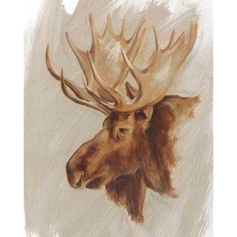 Western American Animal Study II Gold Ornate Wood Framed Art Print with Double Matting by Harper, Ethan