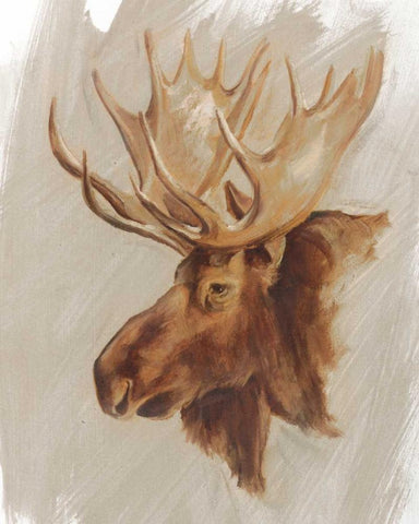 Western American Animal Study II Black Ornate Wood Framed Art Print with Double Matting by Harper, Ethan