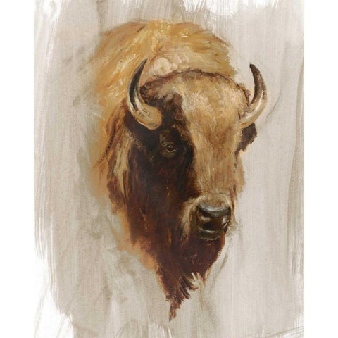 Western American Animal Study III Black Modern Wood Framed Art Print with Double Matting by Harper, Ethan