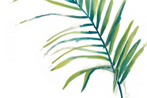 Palm Wonderful V White Modern Wood Framed Art Print with Double Matting by Vess, June Erica