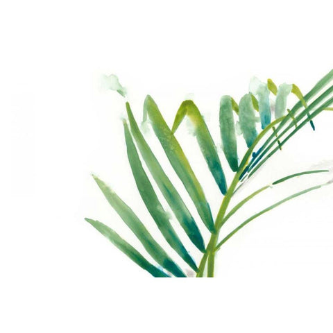 Palm Wonderful VI Black Modern Wood Framed Art Print with Double Matting by Vess, June Erica