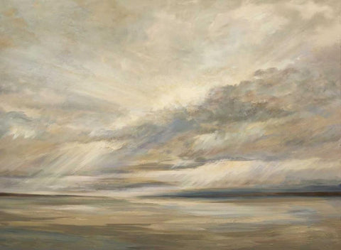 Storm on the Bay Black Ornate Wood Framed Art Print with Double Matting by Finch, Sheila