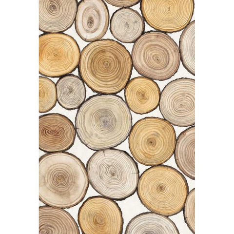 Tree Ring Study I Gold Ornate Wood Framed Art Print with Double Matting by OToole, Tim