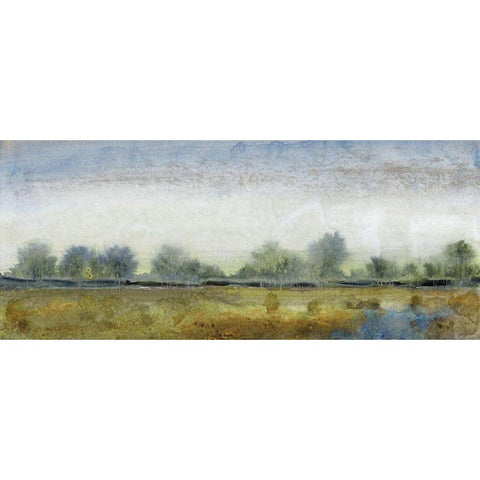 Ethereal Landscape I Black Modern Wood Framed Art Print with Double Matting by OToole, Tim