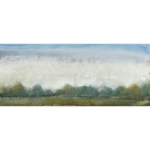 Ethereal Landscape II Black Modern Wood Framed Art Print by OToole, Tim