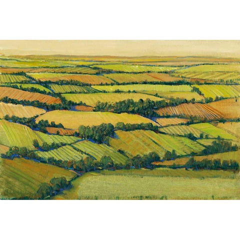 A View Above II Black Modern Wood Framed Art Print by OToole, Tim