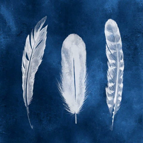 Cyanotype Feathers I White Modern Wood Framed Art Print with Double Matting by Popp, Grace