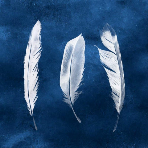 Cyanotype Feathers II Black Ornate Wood Framed Art Print with Double Matting by Popp, Grace