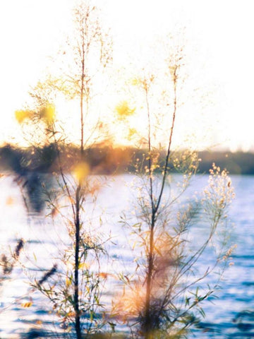 White Rock Sunset I White Modern Wood Framed Art Print with Double Matting by Quintero, Sonja