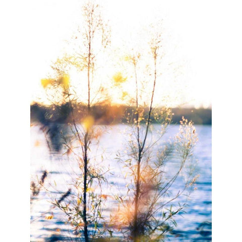 White Rock Sunset I White Modern Wood Framed Art Print by Quintero, Sonja