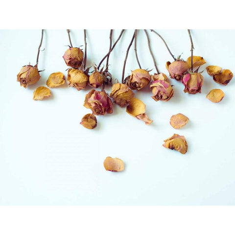 Golden Petals I Black Modern Wood Framed Art Print with Double Matting by Quintero, Sonja