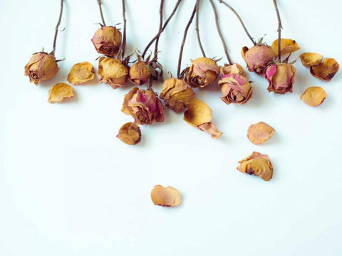 Golden Petals I Black Ornate Wood Framed Art Print with Double Matting by Quintero, Sonja