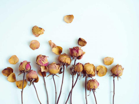 Golden Petals II Black Ornate Wood Framed Art Print with Double Matting by Quintero, Sonja